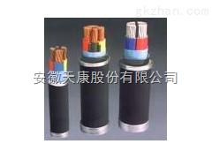 供应MVV/MVV22煤矿用阻燃电力电缆-安徽天康电缆